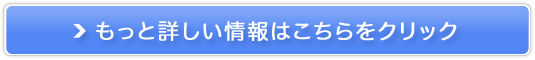 KIsoX̗yA~[z̔TCg